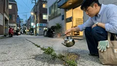 제초제 없이 잡초 없애는 법, 끓는 물로 보도블록 틈새 정리하기